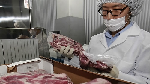 미 쇠고기 검역강화 1개월…"특정위험물질 미발견"