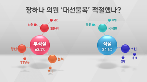 [여론조사] '장하나 대선불복 적절' 24.6% vs '부적절' 63.1% 