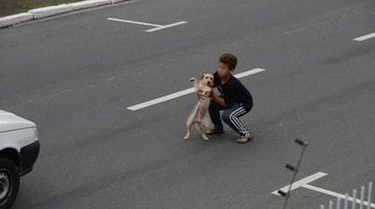 강아지를 구한 11살 소년 '갑자기 차도로…위험한 순간!'