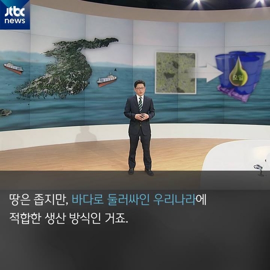 [카드뉴스] 서울에서 부산까지…'해양바이오 디젤'로 쌩쌩