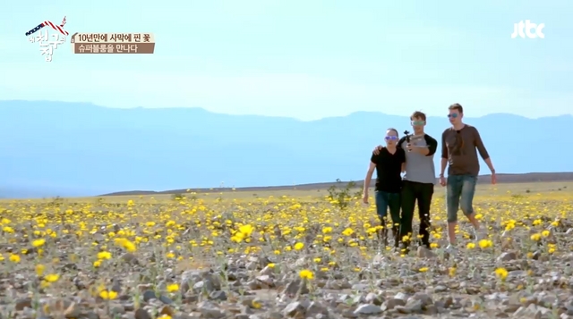 [영상] '내친구집' 친구들, 사막에 핀 꽃 '슈퍼블룸'과 조우