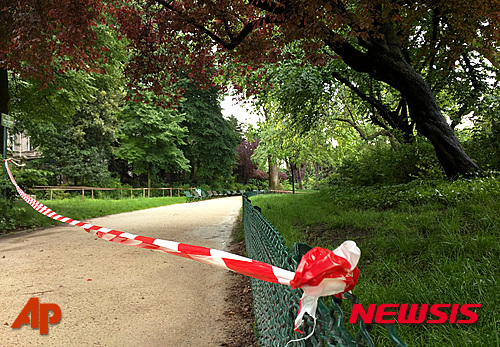 파리공원에도 벼락,  생일파티 어린이 11명 부상 1명 중태