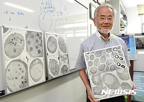 일본 오스미 교수, 노벨 생리의학상…'오토퍼지' 이론 세계 최초 규명