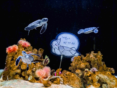 아쿠아플라넷 여수, 푸른바다 거북 인공 번식 성공