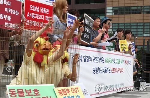 동물단체 "농식품부가 살충제 계란 주범…공장식축산 폐지하라"