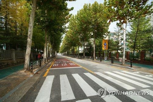 정보공개센터 "서울 가로수에 '발암가능물질' 농약 살포"