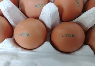 또 계란농장 8곳 피프로닐 대사산물 검출…정부 "회수중"