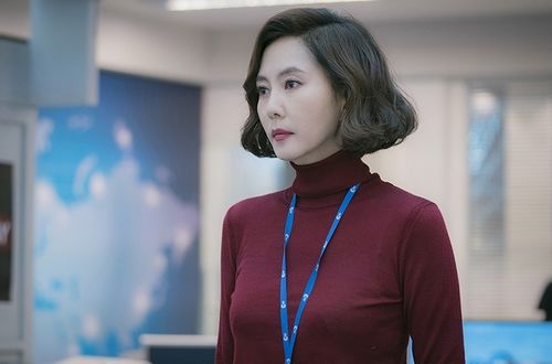 '미스티' 시청률의 여왕X인생캐 탄생…김남주, 8주간의 여정
