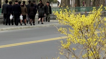 봄기운 완연, '알록달록' 건물…활기 가득한 평양 거리