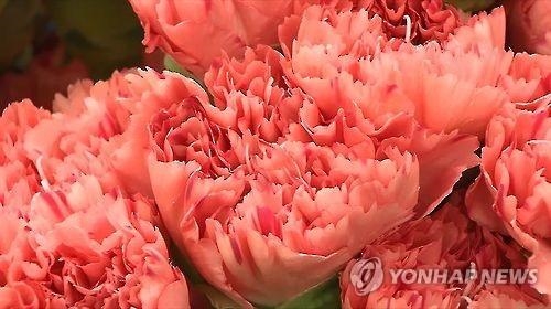 '스승의 날' 꽃은 학생 대표만…감사 현수막은 가능