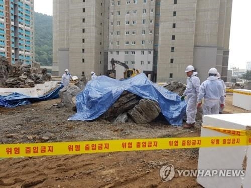 붉은 불개미 발견 아파트현장 방역·추적조사 '투트랙' 대응