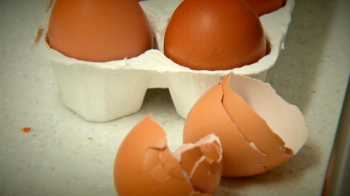 계란서 '항생제 검출'…먹거리 안전 관리 또다시 '구멍'