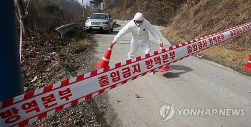 구제역 발생 안성 방문 차량, 충남 농장 12곳 다녀가…이동제한