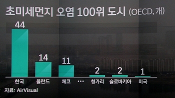 한국 초미세먼지, OECD 2위…44곳 '100대 오염도시'에