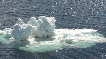 "2100년 해수면 최고 238㎝↑"…더 빨리 녹는 남극