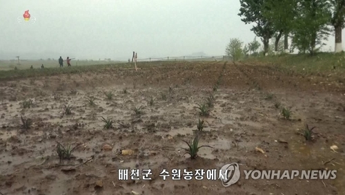 북한 최대 쌀생산지 황해남도 가뭄 심각…"모내기 늦어져"