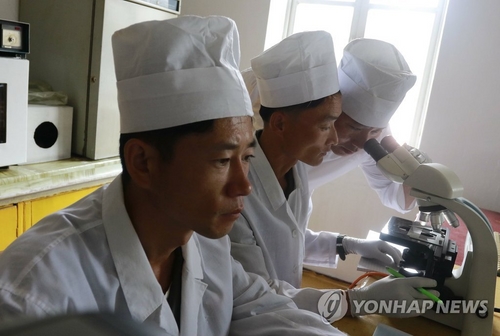 통일부 "돼지열병 협력 북한 반응 없어"…한달 가까이 '무응답'