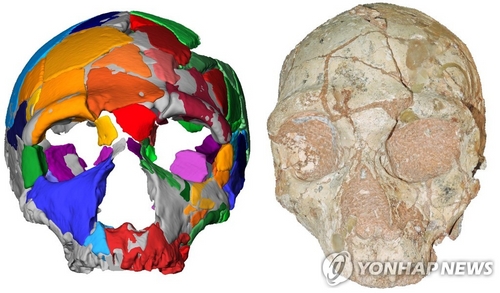 "그리스 동굴서 발견된 두개골, 21만년 전 호모사피엔스 것"