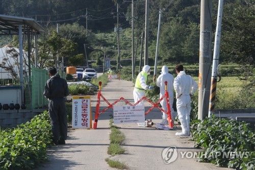"파주서 발병한 ASF '북한 유입' 가능성 크다"
