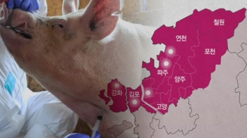 돼지열병 확진 농가 6곳으로 늘어…청와대도 대응TF