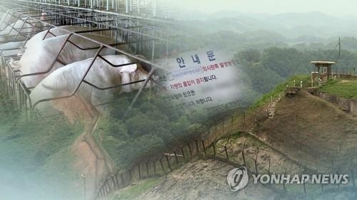 군 "DMZ·민통선이북 헬기동원 7일간 돼지열병 방역…북에 통보"