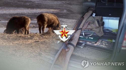 정부, 민통선 이북서 '야생멧돼지 2차 포획작전' 돌입