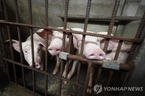 "돼지열병 탓 중국 농산물 수입 미국 기대치 충족 어려워"