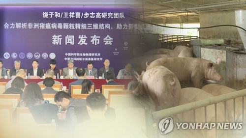 중국 돼지열병 여파로 미 육류시장도 '불똥'
