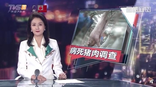 중국 '병으로 죽은 돼지' 유통 파장…먹거리 안전 우려
