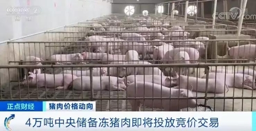 중국, ASF 돼지고기 파동에 4만t 추가 공급…설 수요 등 대비