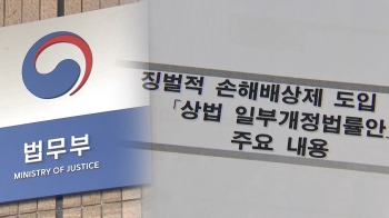 "집단소송·징벌적 손해배상 확대"…법무부 입법 예고