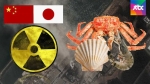 중국서 후쿠시마 수산물 391억원어치 유통…일당 적발