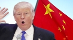 트럼프 통상라인 "중국과 일전도 불사"…강경파 일색