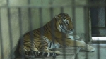 남은 동물들 어쩌나…폐쇄 앞두고 고민 빠진 산림 동물원