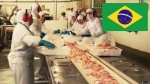 브라질서 '썩은 닭 유통' 파문…국내 유입 여부 촉각