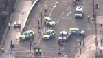 런던 의사당서 '차량 테러'…한국인 관광객 5명 부상