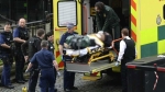 영국 의사당 테러범 검거…'외로운 늑대형' 테러 양상