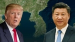 "한국은 중국 일부" 논란…중, '시진핑 발언' 확인 회피