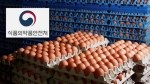 유럽 '살충제 달걀' 파문 일파만파…국내도 판매 중단