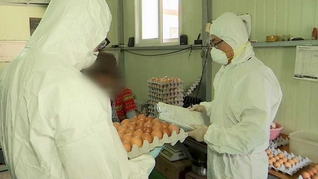[사회현장] '살충제 검출' 달걀 추가…소비자 불안 확산