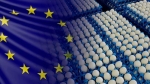 '살충제 달걀' 중동까지 수출…EU 식품안전관리 도마위
