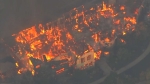 '와인 메카' 나파밸리 대형산불…10명 사망·2만여명 대피