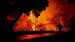 산불, 무서운 속도로…화마에 폐허 된 '미 와인 산지'