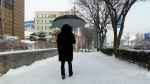 [날씨] 낮부터 영상권 회복…충남·전북·제주 밤사이 눈