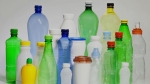 플라스틱 쓰레기 문제, 곤충·효소로 해결?…놀라운 효능
