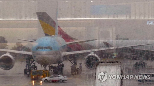 김포공항서 대한항공-아시아나기 충돌…사고원인 '공방'