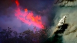 우주에서도 포착된 '연기 기둥'…미, 11일째 최악 산불