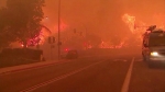 캘리포니아 산불 확산…4800㎞ 떨어진 뉴욕까지 '연기'