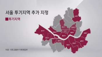 정부, 서울 4개구 투기지역 추가지정…공공택지 대책도