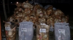 [밀착카메라] 거리 음식 축제 끝난 뒤…일회용품 '쓰레기 폭탄'